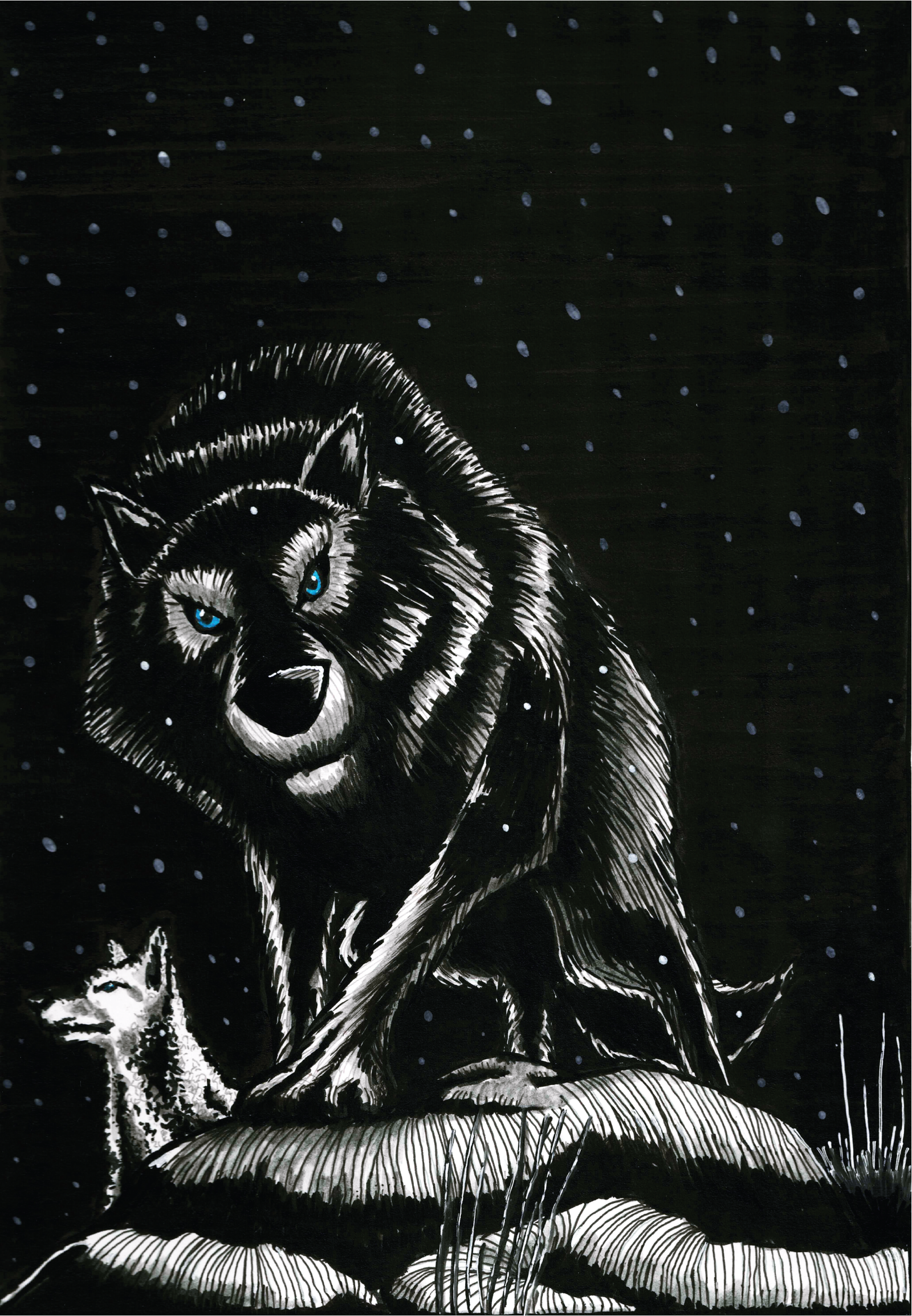 Wolfmother